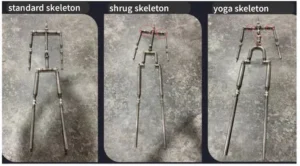 กระดูกโครงสร้างตุ๊กตายาง