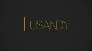 lusandy logo