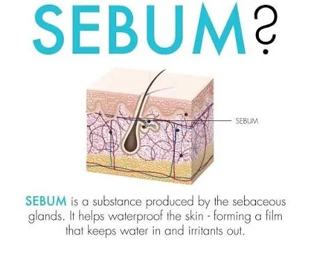 sebum